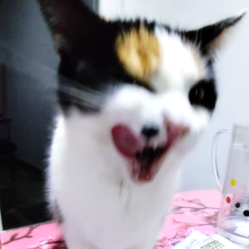 Mizu IRL